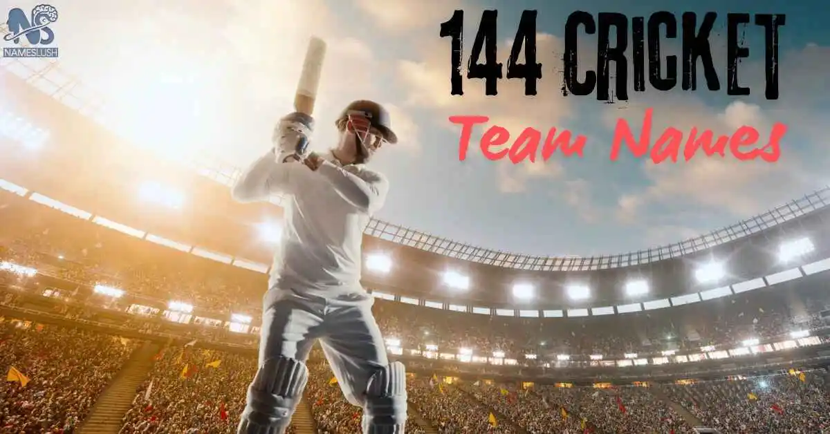 144 Cricket Team Names Best Ideas for Every Cricket Lover