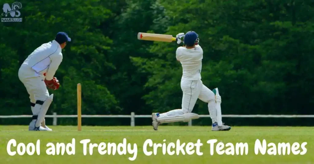 Cool and Trendy Cricket Team Names