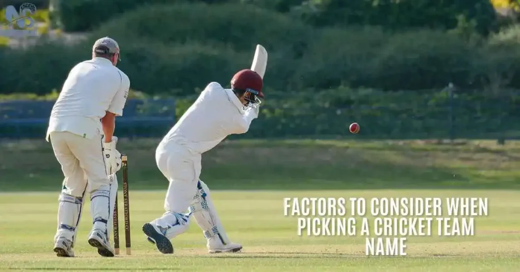 Factors to Consider When Picking a Cricket Team Name