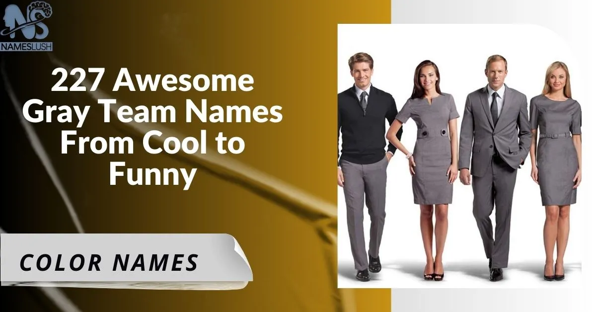 227 Awesome Gray Team Names – From Cool to Funny