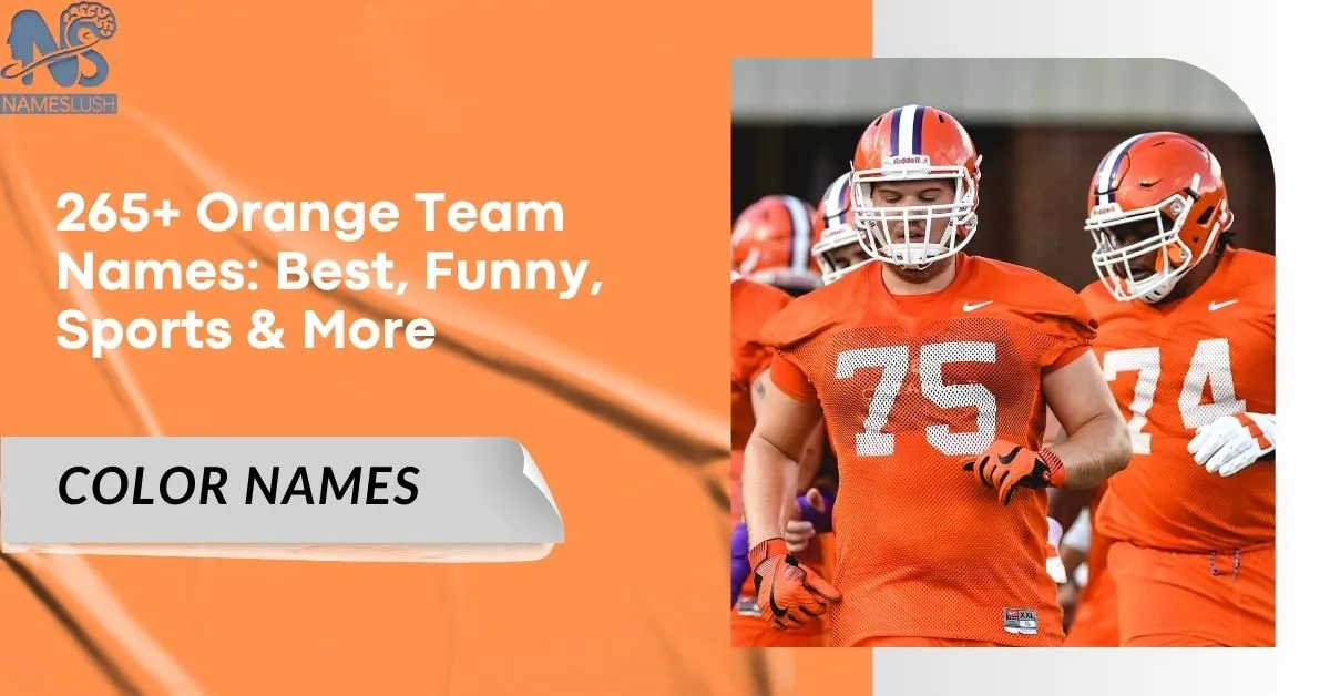 265+ Orange Team Names Best, Funny, Sports & More