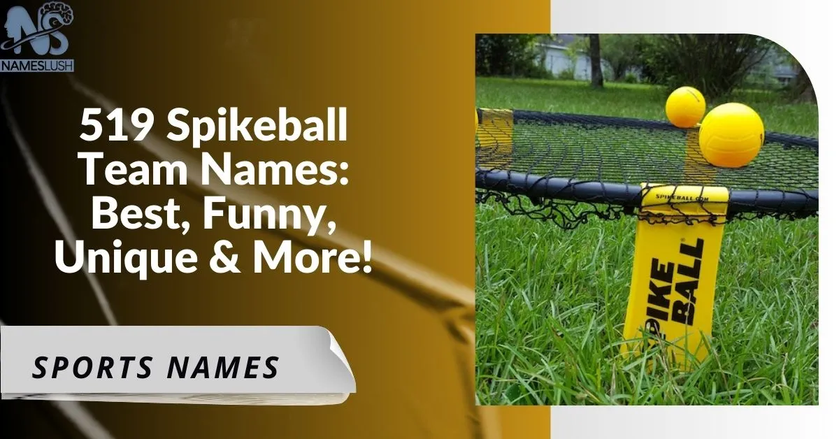 519 Spikeball Team Names Best, Funny, Unique & More