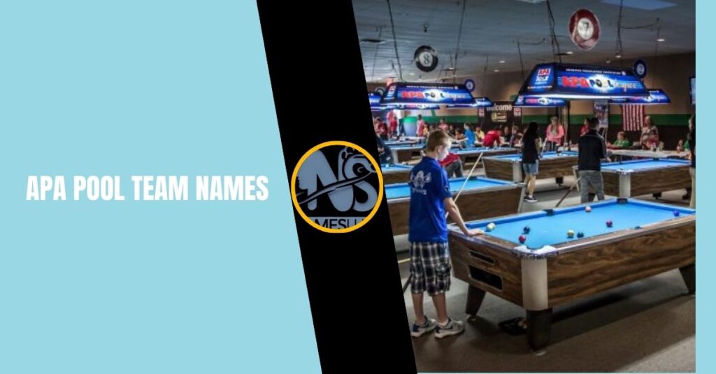 APA Pool Team Names