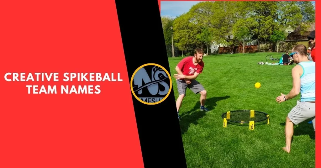 Creative Spikeball Team Names