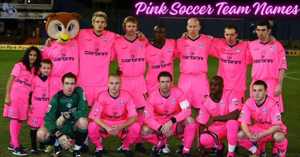 Pink Soccer Team Names