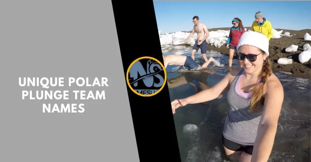 Unique Polar Plunge Team Names