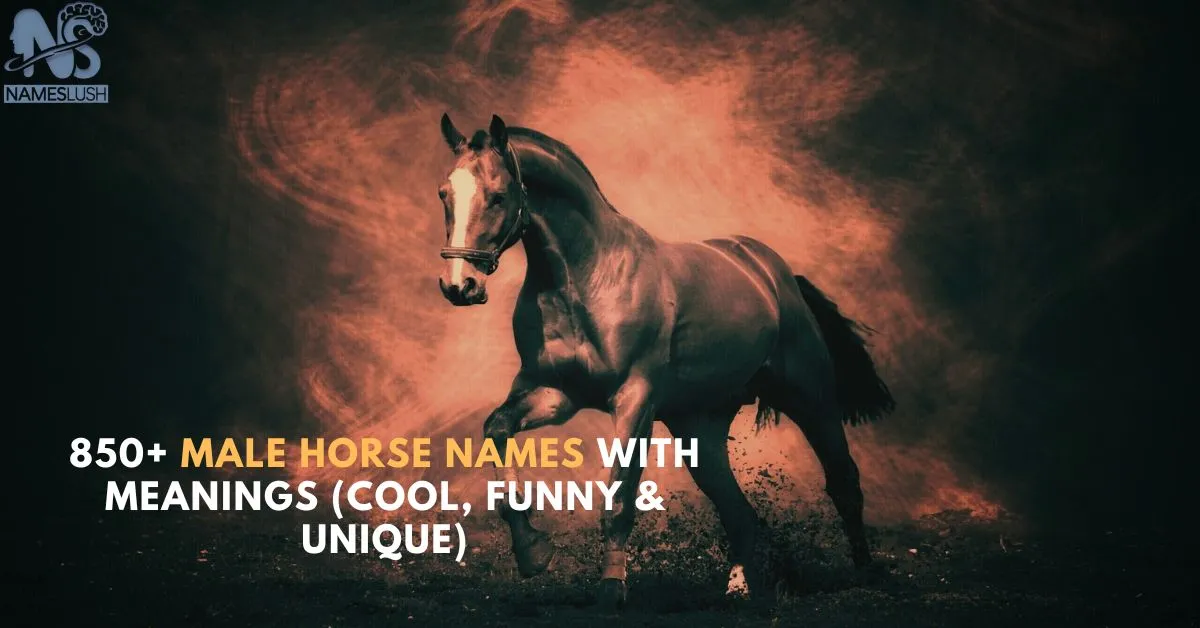 850+ Male Horse Names With Meanings (Cool, Funny & Unique)