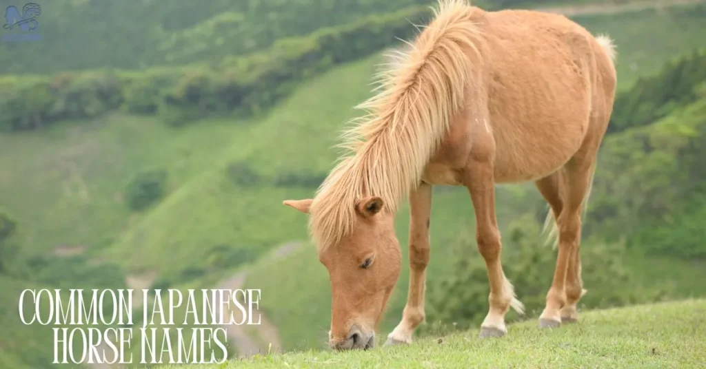 Japanese-Horse-Names