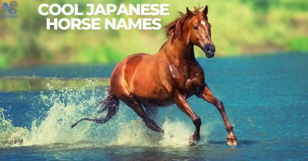 Cool Japanese Horse Names