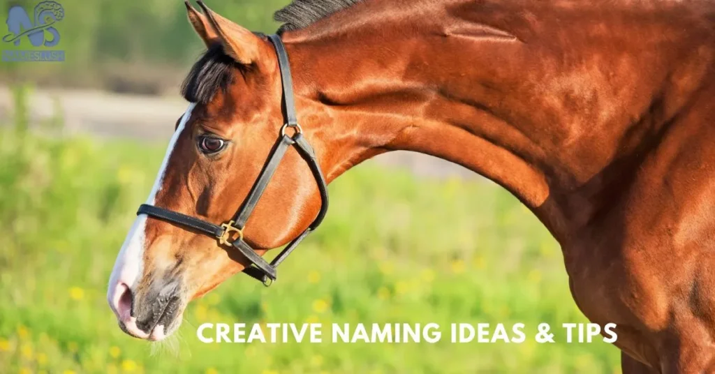 Creative Naming Ideas & Tips