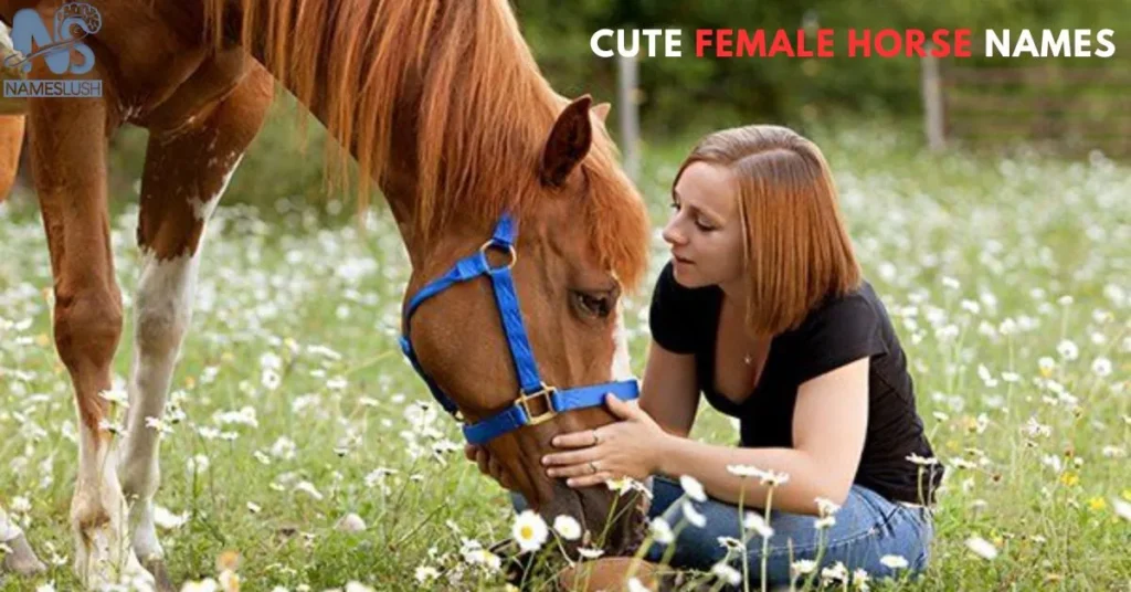 Female-Horse-Names