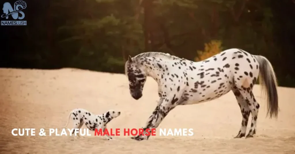 Cute & Playful Male Horse Names