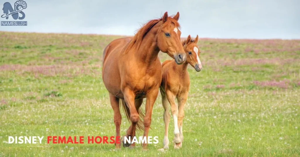 Disney Female Horse Names