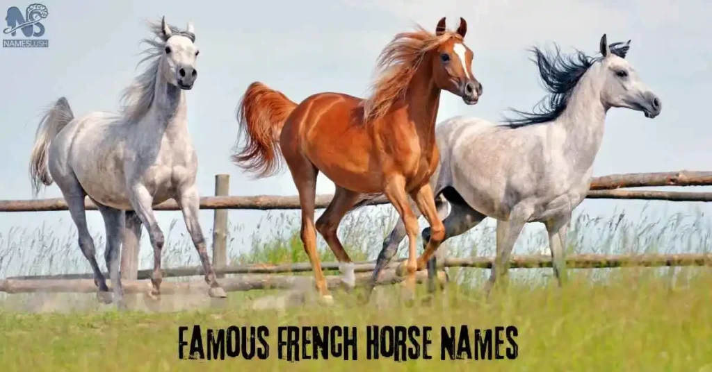 Famous French Horse Names