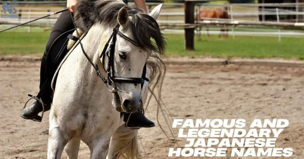 Famous and Legendary Japanese Horse Names