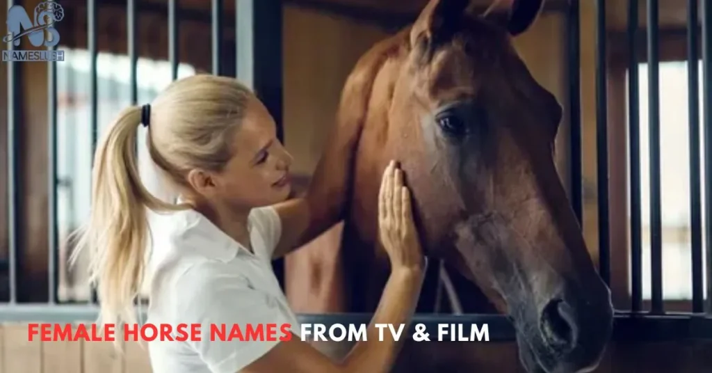 Female Horse Names from TV & Film