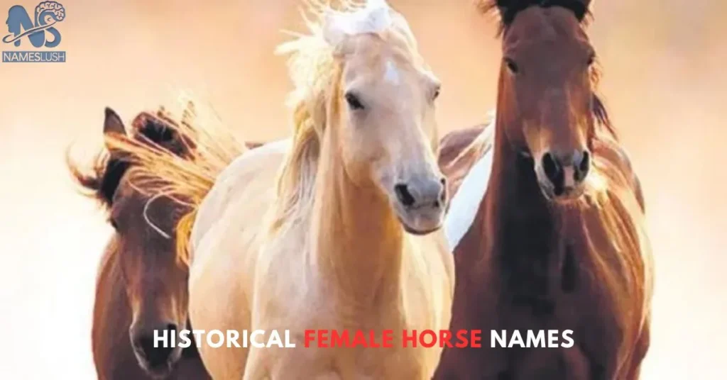 Historical Female Horse Names