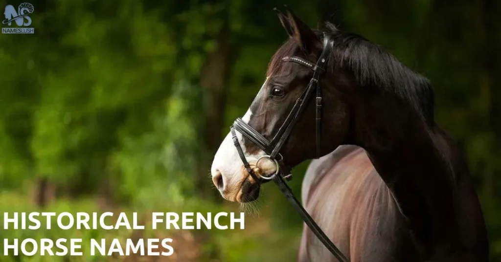 Historical French Horse Names