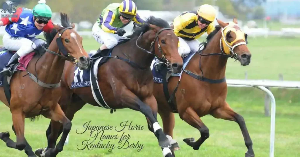 Japanese Horse Names for Kentucky Derby