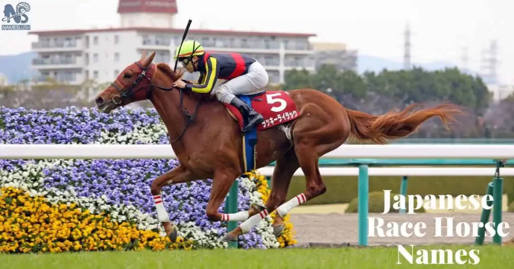 Japanese Race Horse Names