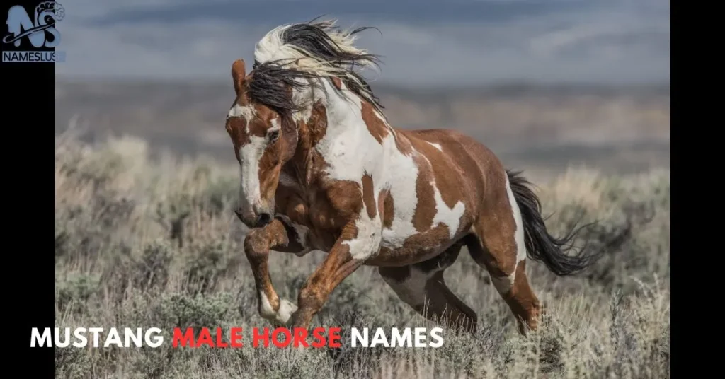 Mustang Male Horse Names