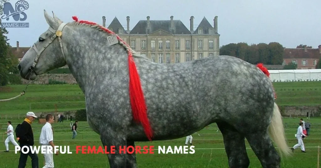 Powerful Female Horse Names