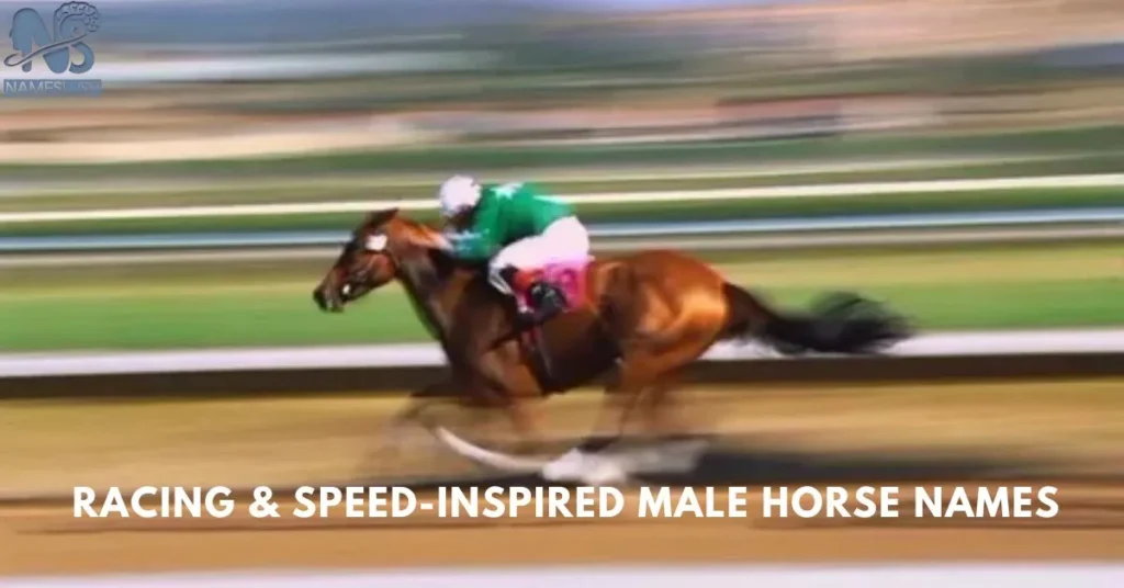 Racing & Speed-Inspired Male Horse Names