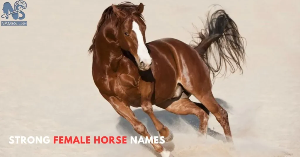 Strong Female Horse Names