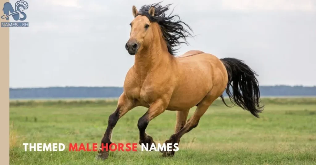 Themed Male Horse Names